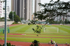 斧山道運動場